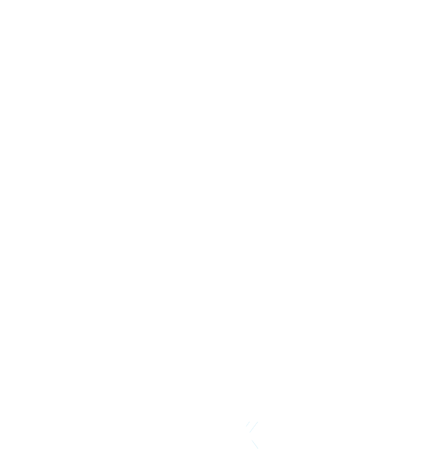 Sturdy Logo
